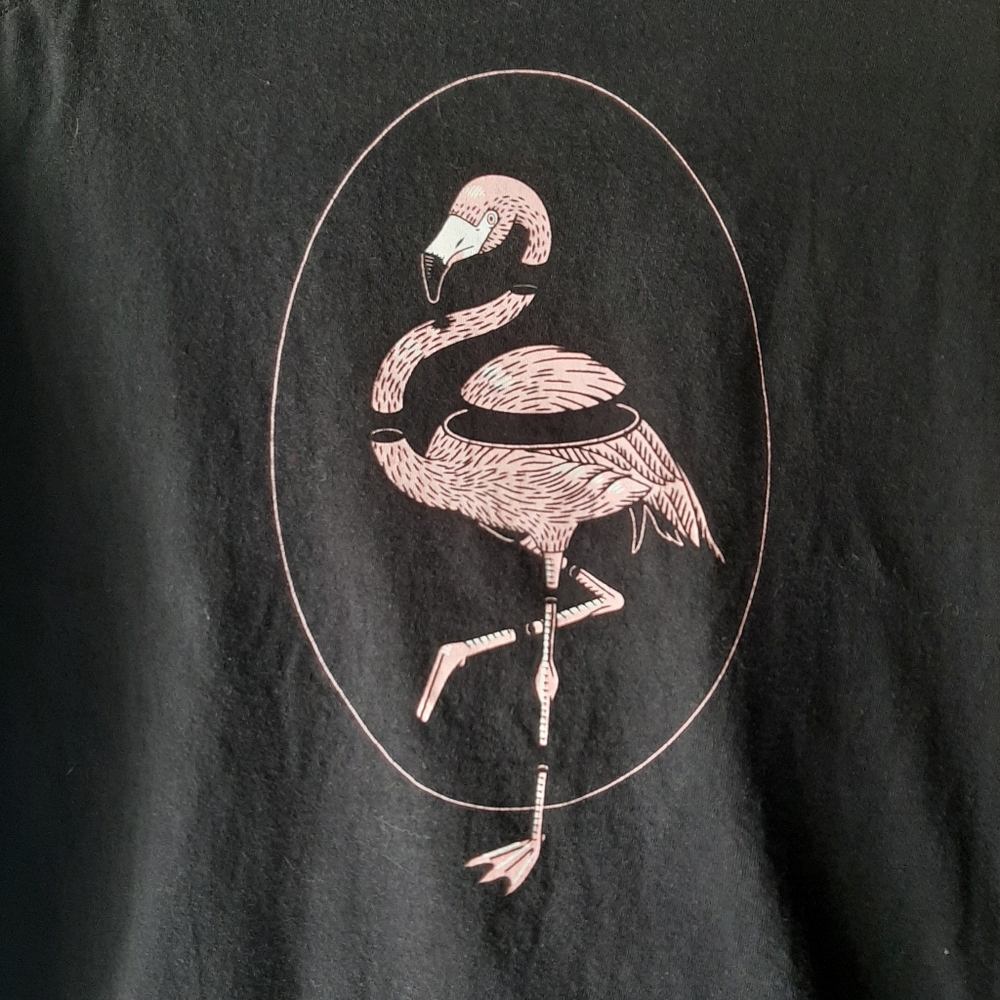 Flamingo graphic t-shirt. Chomp